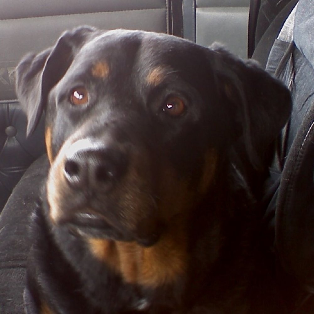 Meet your Posher, Nancie